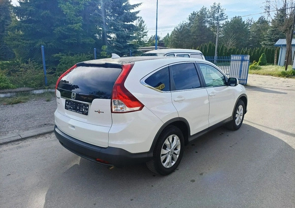 Honda CR-V cena 60900 przebieg: 110528, rok produkcji 2014 z Zgorzelec małe 79